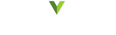 Salvato: The Smarter Auction for Insurance Vehicles