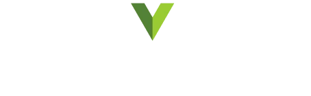 Salvato: The Smarter Auction for Insurance Vehicles